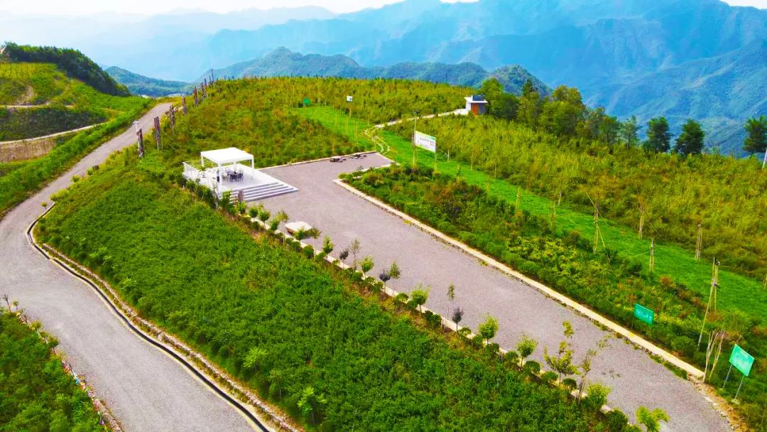 �����ϵV�I(y��)��˾���h���I(l��ng)���^鮺V�� ���۰l(f��)չ�����ܡ�