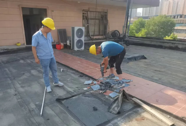 �t��������˾ȫ��������Ӗ(x��n)�W(xu��)У���ھS�޸���o(j��)��(sh��)