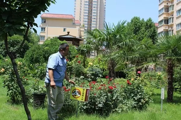 ���\���� ��(chu��ng)���������C�¼҈@---�䓼��F2014-2016��ȡ��ă�(y��u)�����a�h�T�ε���