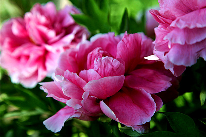 祝福您，祖國(guó)母親