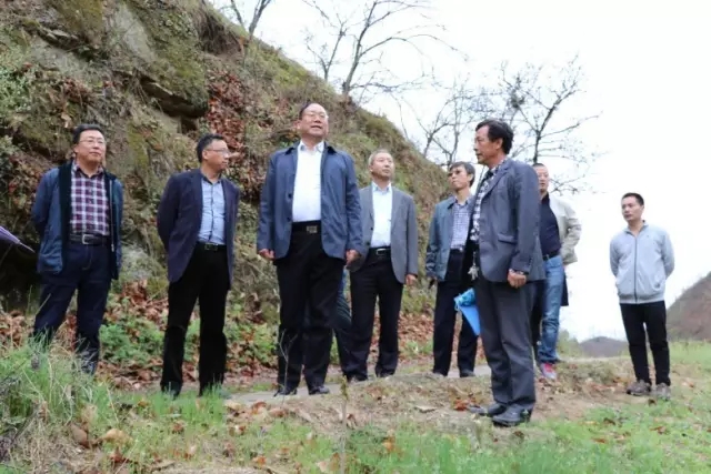 ��䓼��F(tu��n)�I(l��ng)��(d��o)�������ϵV�I(y��)��˾�{(di��o)��ָ��(d��o)��Ԫ�a(ch��n)�I(y��)�l(f��)չ����