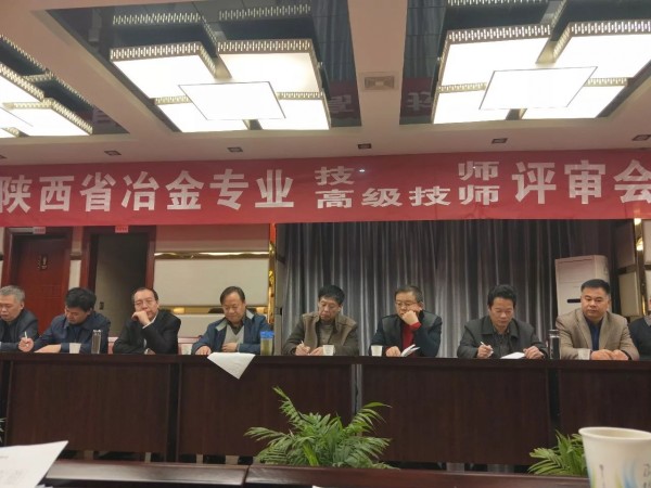 龍鋼集團(tuán)參加省冶金專業(yè)技師、高級(jí)技師評(píng)審會(huì)