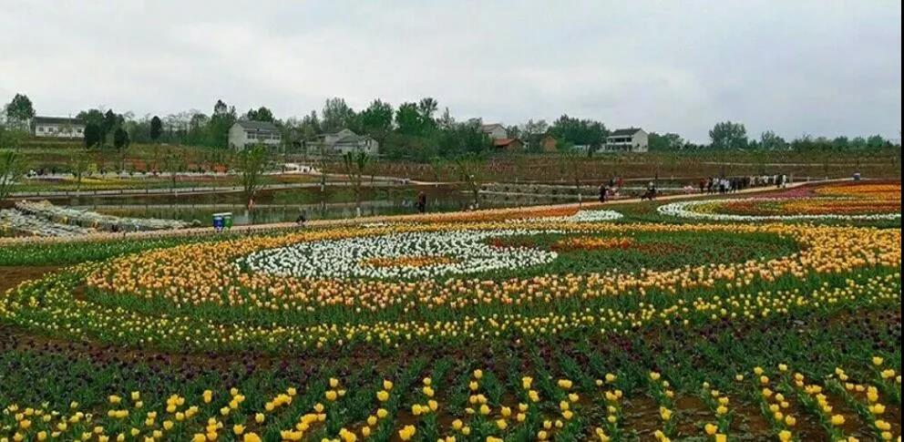 贈人玫瑰，手有余香