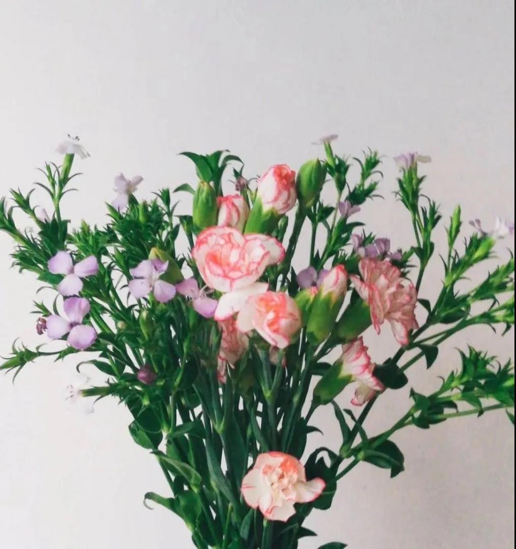 ��䓳��������ゃ